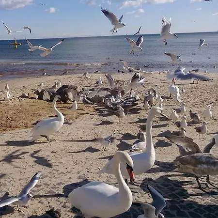 Kolibki - Hav Aparts Lejlighed