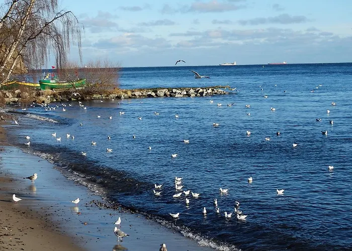 Apartman Kolibki - Hav Aparts *